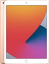 iPad 10.2 8th Gen (Wi-Fi + Cellular)