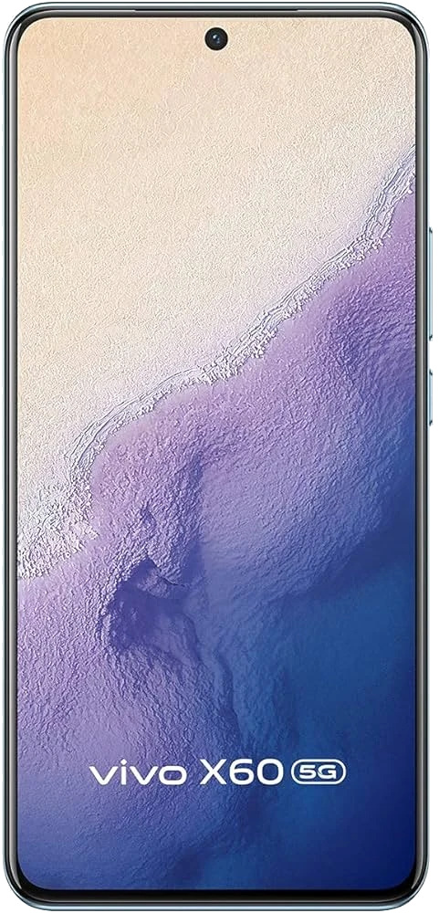 Vivo X60